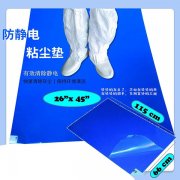 在Airshower使用粘塵墊的作用是什么？
